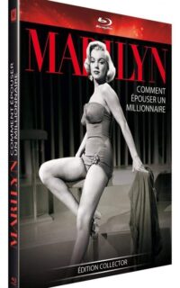 Comment épouser un millionaire (Digibook)