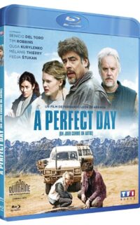 A Perfect Day Blu-ray (Amaray)